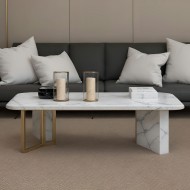 Larin Marble Coffee Table