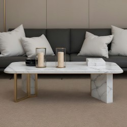 Larin Marble Coffee Table
