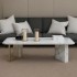 Larin Marble Coffee Table
