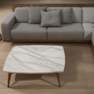 Begonia Marble Coffee Table Begonia Marble Coffee Table