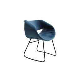 Cirella Chair Cirella Chair