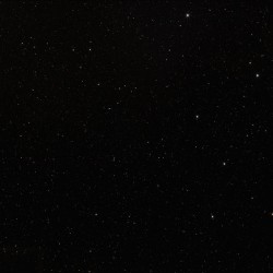 x5751-Gala Black Porselen x5751-Gala Black Porselen