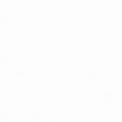 x1010-Premium White Porcelain