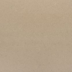 x3333-Boletus Seta Porcelain