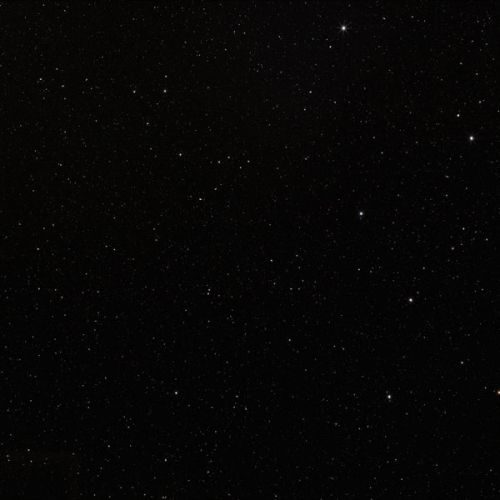 Porcelain 5751-Gala Black Porcelain Porcelain